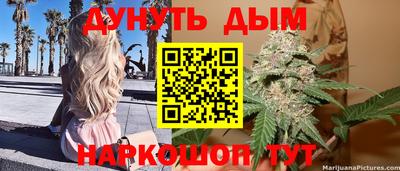 дмт Аргун