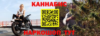 дмт Аргун