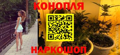 дмт Аргун
