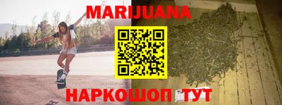 дмт Аргун