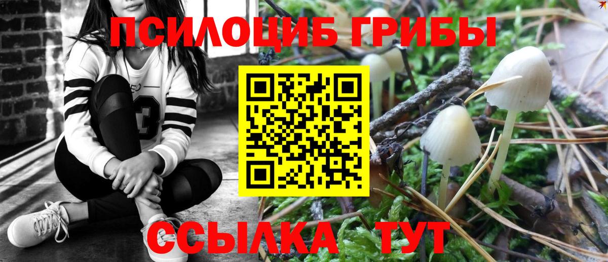 купить наркотики цена  Псилоцибиновые грибы Psilocybine cubensis  Вход с VPN  Выкса 